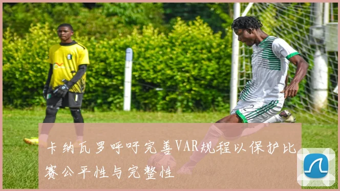 卡纳瓦罗呼吁完善VAR规程以保护比赛公平性与完整性