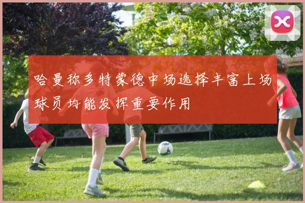哈曼称多特蒙德中场选择丰富上场球员均能发挥重要作用